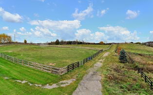 North Paddocks facing North - Country homes for sale and luxury real estate including horse farms and property in the Caledon and King City areas near Toronto